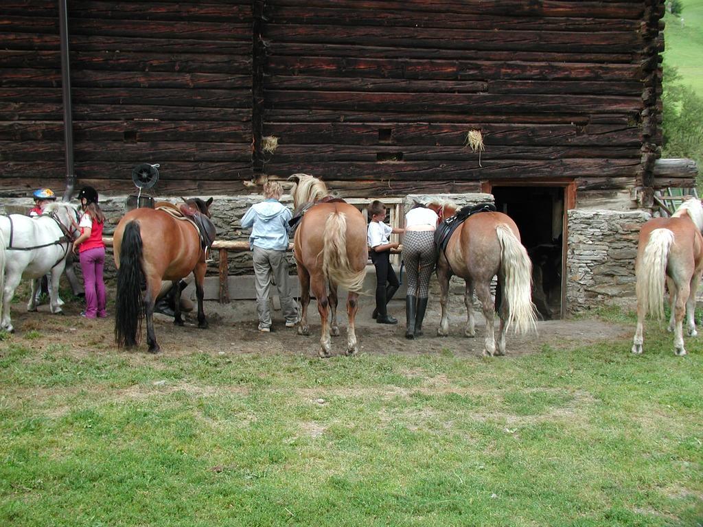 Familienparadies Wolfgangbauer Heiligenblut Exteriör bild