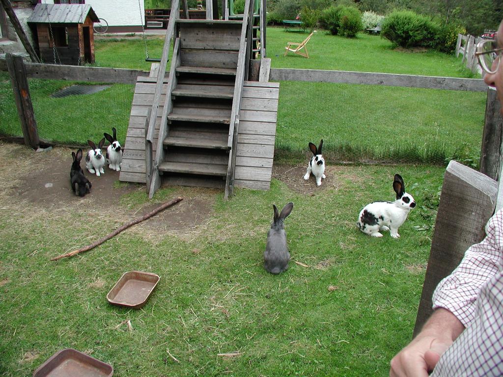 Familienparadies Wolfgangbauer Heiligenblut Exteriör bild